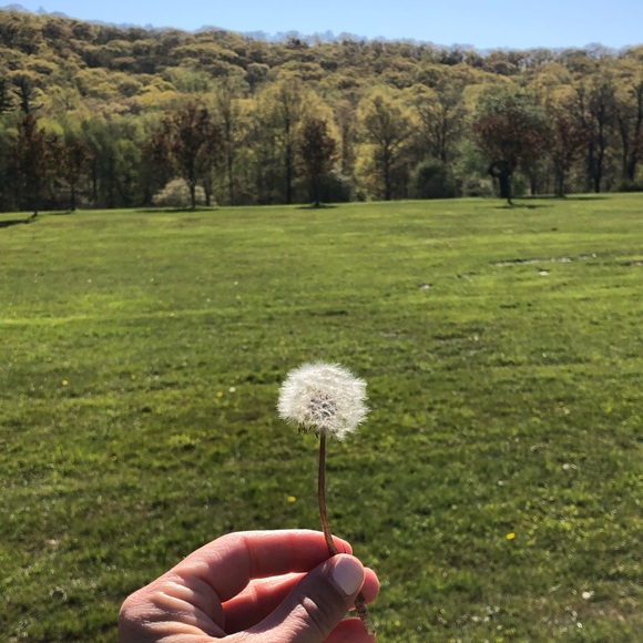 Meet your Posher, Jessica - Picture 1 of 1